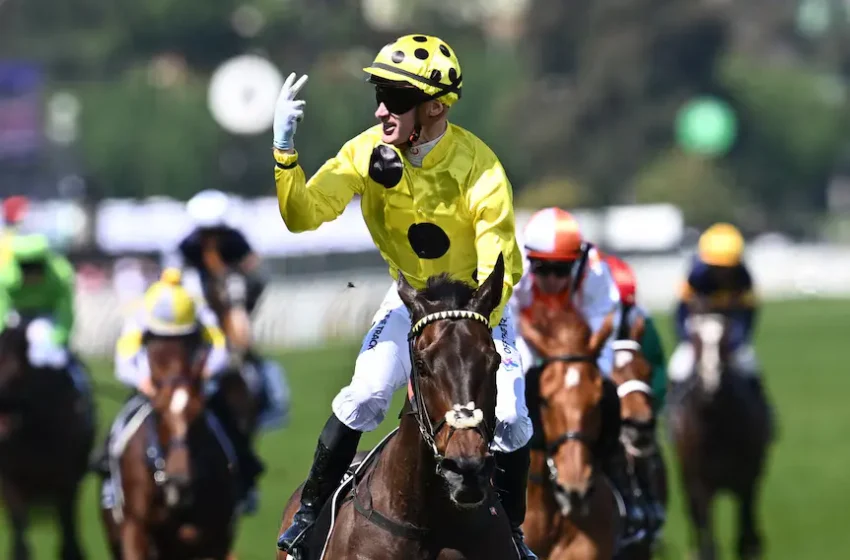 Where to watch the Melbourne Cup in Australia