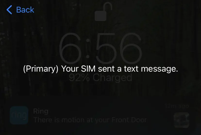  What does ‘Your SIM sent a text message’ mean?