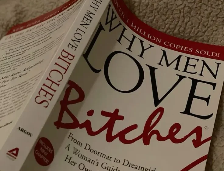  Why Men Love Bitches: The dynamics of human connection   